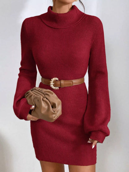 Turtleneck Ribbed Knit Sweater Dress - Cozy Chic - Brinxx Couture